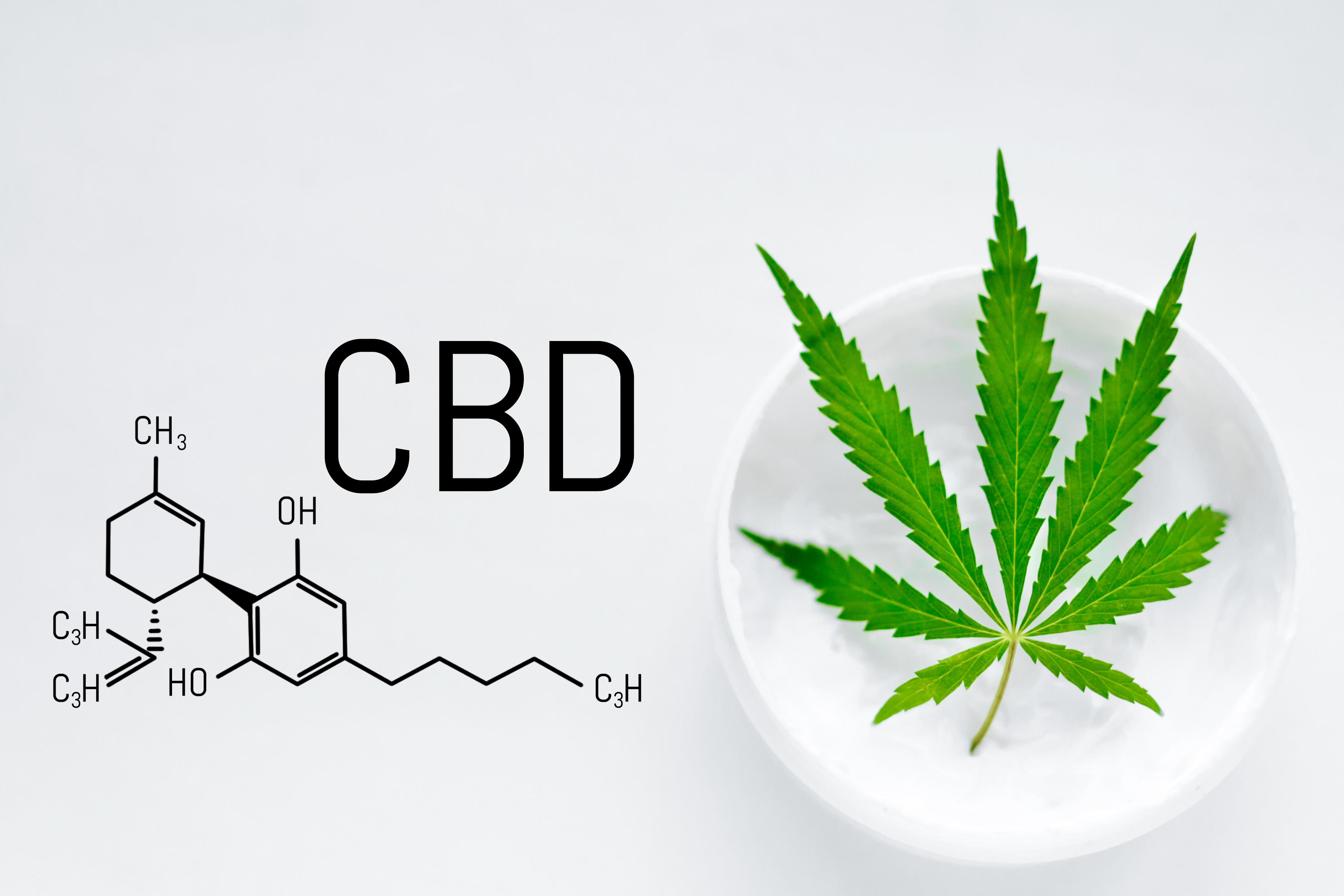 Medical Reasons to Enjoy CBD Capsules in Bailey on a Regular Basis