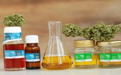 Find Premium Products and Friendly Service at a Cannabis Shop Cheektowaga NY Locals Trust