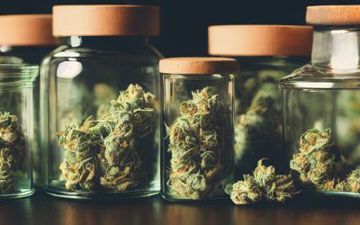 Local Favorites You Can Find at a Cannabis Shop Fort Covington NY Explained