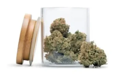 Experience Premium Cannabis Products Through a Trusted Dispensary Brighton CO