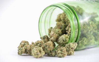 Finding Trusted Advice at a Cannabis Dispensary in Ypsilanti MI for Informed Choices